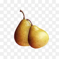 橙色漂亮梨子-空若网 橙色漂亮梨子-空若网