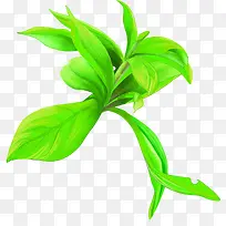 手绘绿色夏季树枝装饰-空若网 手绘绿色夏季树枝装饰-空若网