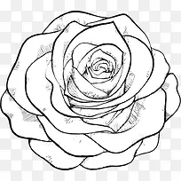 �������-������