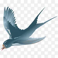 可爱黑燕-空若网 可爱黑燕-空若网