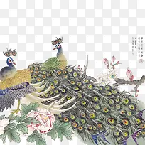 水彩古风孔雀-空若网 水彩古风孔雀-空若网