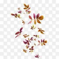 漂浮枝叶-空若网 漂浮枝叶-空若网