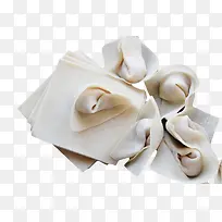 白色生云吞皮-空若网 白色生云吞皮-空若网