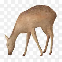 �ֻ���-������