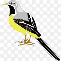 ��ľ��װ��ʸ���ز�-������