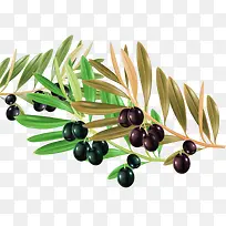 ����֦Ҷ��������ز�-������