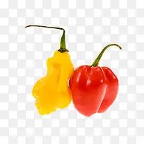 ����ͼƬ�ز�-������