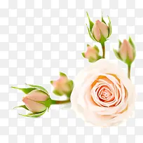 ����õ��-������