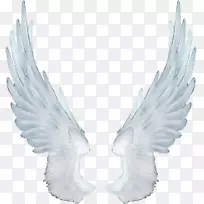 桌面壁纸夹艺术.翅膀-空若网 桌面壁纸夹艺术.翅膀-空若网