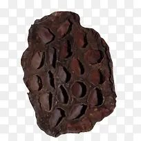 棕色创意莲蓬-空若网 棕色创意莲蓬-空若网