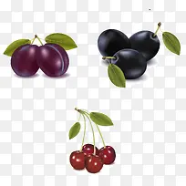 矢量水果李子和樱桃-空若网 矢量水果李子和樱桃-空若网