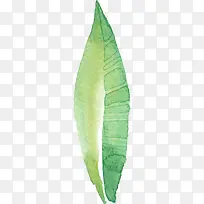 绿色水彩画草|树叶5-空若网 绿色水彩画草|树叶5-空若网