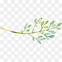 ÂÌɫˮ²Ê»²Ý|Ê÷Ò¶10-¿ÕÈôÍø ÂÌɫˮ²Ê»²Ý|Ê÷Ò¶10-¿ÕÈôÍø