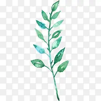 ÂÌɫˮ²Ê»²Ý|Ê÷Ò¶2-¿ÕÈôÍø ÂÌɫˮ²Ê»²Ý|Ê÷Ò¶2-¿ÕÈôÍø