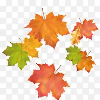 ��ɫ��Ҷ-������