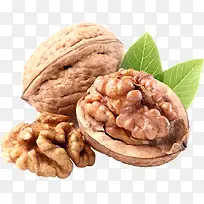 ������Ҷ��-������