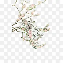 春江花树-空若网 春江花树-空若网