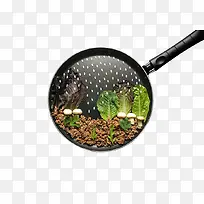 锅中小世界-空若网 锅中小世界-空若网