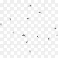 矢量小昆虫-空若网 矢量小昆虫-空若网
