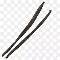 材料-香草豆PNG透明图像-空若网 材料-香草豆PNG透明图像-空若网