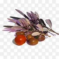 甘甜红枣素材-空若网 甘甜红枣素材-空若网