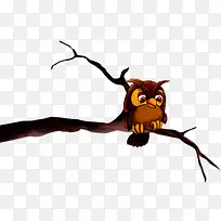 一只猫头鹰-空若网 一只猫头鹰-空若网