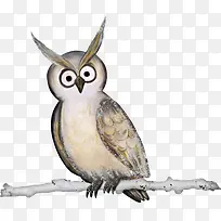 一只猫头鹰-空若网 一只猫头鹰-空若网