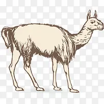 草尼玛-空若网 草尼玛-空若网