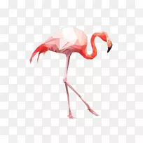 ������ˮ�ʻ��滭����ˮ�ʻ�������-������