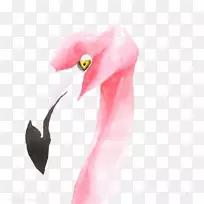 火烈鸟水彩画插图.火烈鸟-空若网 火烈鸟水彩画插图.火烈鸟-空若网