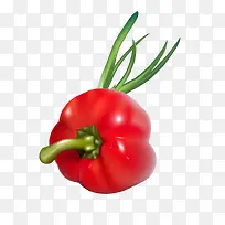 卡通食材蔬菜灯笼椒-空若网 卡通食材蔬菜灯笼椒-空若网