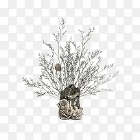 ����ƿ��-������