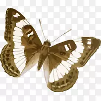 三叶草蝴蝶剪贴画-昆虫-空若网 三叶草蝴蝶剪贴画-昆虫-空若网