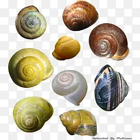 实物螺丝-空若网 实物螺丝-空若网