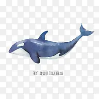 ¾¨Óã²å»ËزĿâ-¿ÕÈôÍø ¾¨Óã²å»ËزĿâ-¿ÕÈôÍø