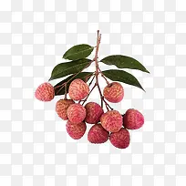 荔枝-空若网 荔枝-空若网