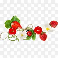 ˮ����Ҷ�׳�ͼƬ-������