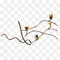 ƯÁÁ¿ÝÖ¦¿ÝÒ¶-¿ÕÈôÍø ƯÁÁ¿ÝÖ¦¿ÝÒ¶-¿ÕÈôÍø