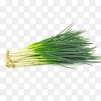 一把葱蔬菜-空若网 一把葱蔬菜-空若网