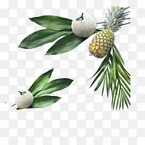 菠萝哈密瓜水果食物-空若网 菠萝哈密瓜水果食物-空若网