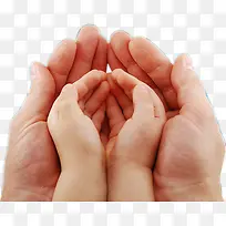 高清摄影大手捧着小手-空若网 高清摄影大手捧着小手-空若网