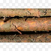 高清木头摄影-空若网 高清木头摄影-空若网