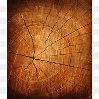 ľ׮ÁÑÎÆ±³¾°-¿ÕÈôÍø ľ׮ÁÑÎÆ±³¾°-¿ÕÈôÍø