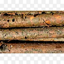 ľ׮��Ӱ-������