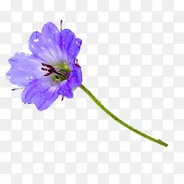 ¿Æ¼¼ÏßÌõËØ²ÄÏßÌõËØ²Ä-¿ÕÈôÍø ¿Æ¼¼ÏßÌõËØ²ÄÏßÌõËØ²Ä-¿ÕÈôÍø