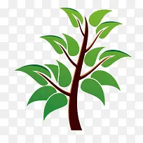 绿色植物树木树苗-空若网 绿色植物树木树苗-空若网