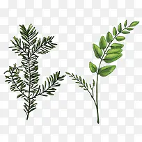 卡通树叶-空若网 卡通树叶-空若网