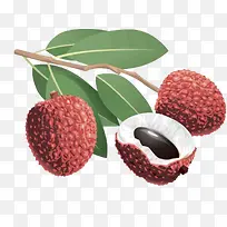 荔枝卡通水果-空若网 荔枝卡通水果-空若网