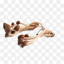 ��Ʒʵ�������-������