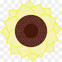 抛光地板缓冲大理石抛光混凝土磨料.向日葵-空若网 抛光地板缓冲大理石抛光混凝土磨料.向日葵-空若网